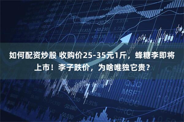 如何配资炒股 收购价25-35元1斤，蜂糖李即将上市！李子跌价，为啥唯独它贵？