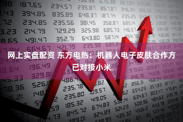 网上实盘配资 东方电热：机器人电子皮肤合作方已对接小米